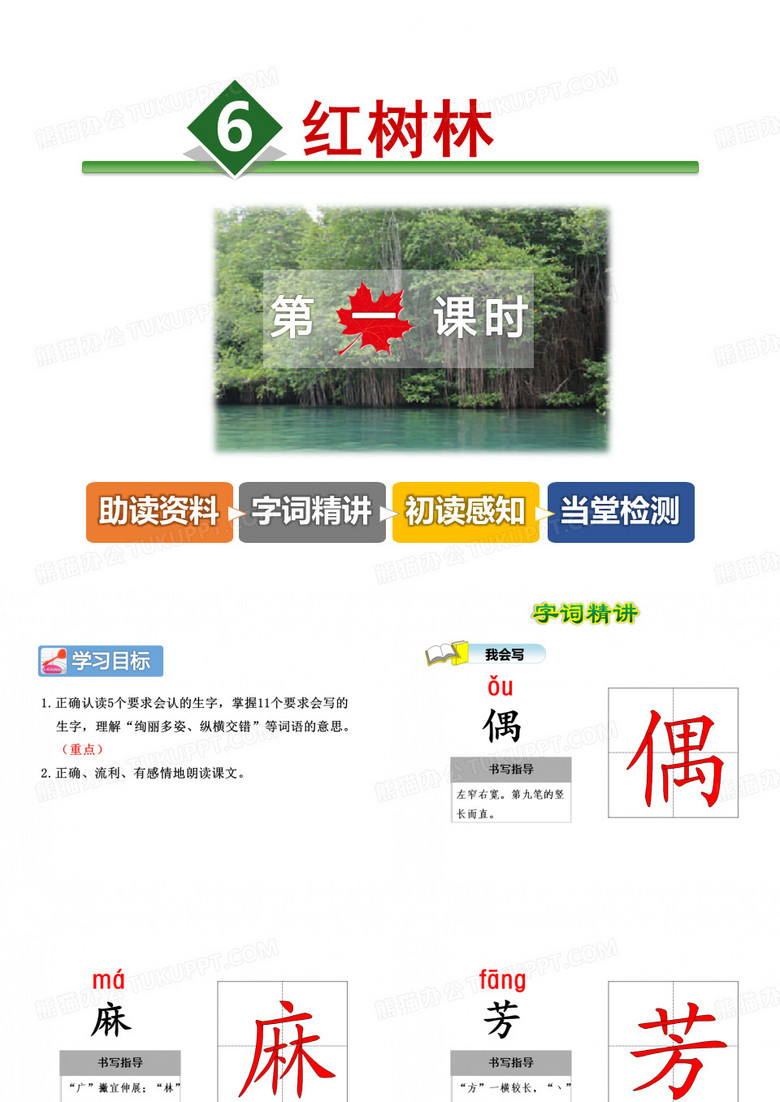红树林PPT