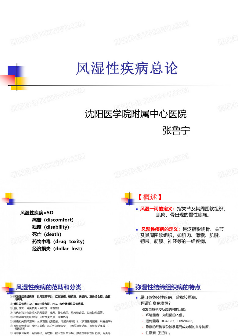 风湿病总论