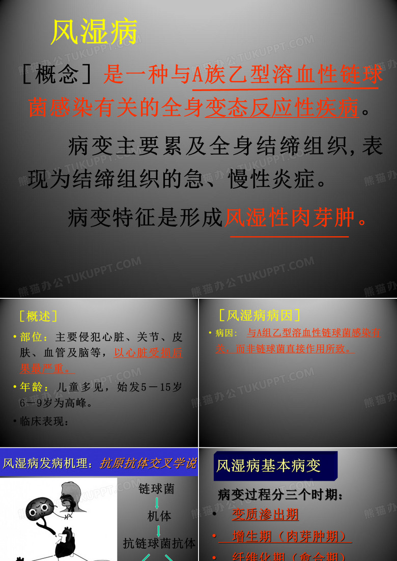病理学-风湿病