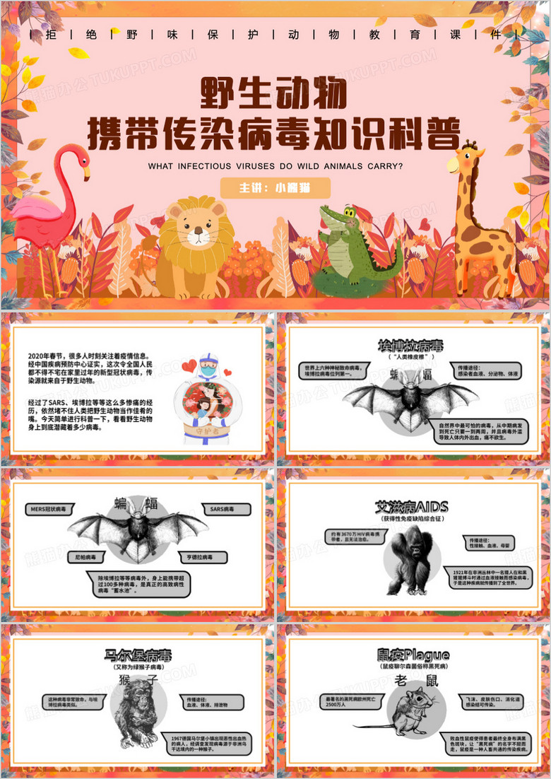 野生动物携带传染病毒知识科普PPT模板