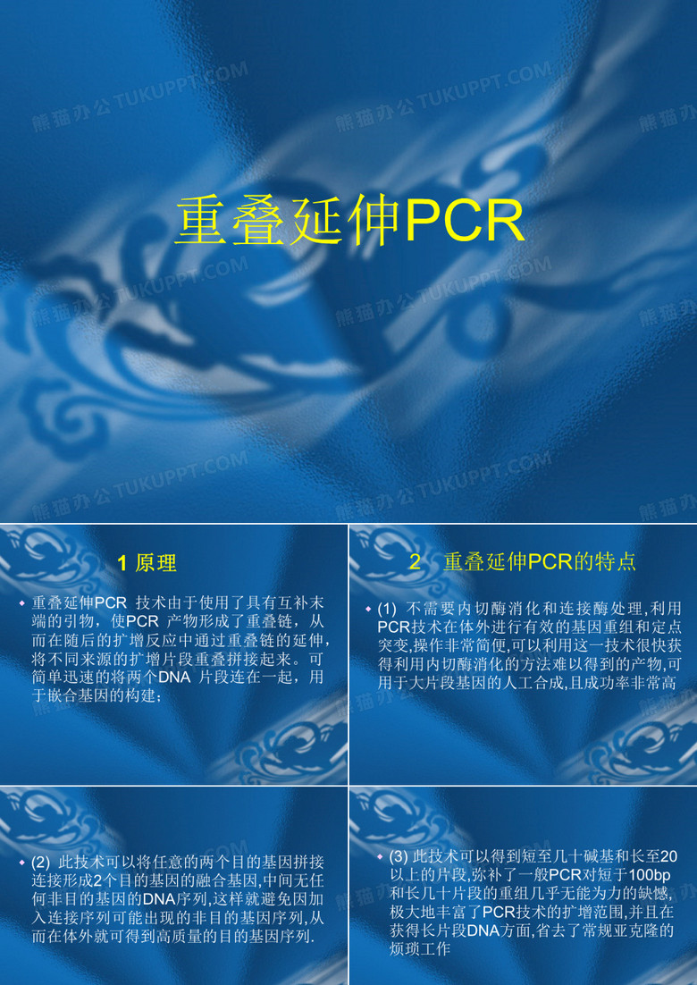 重叠pcr
