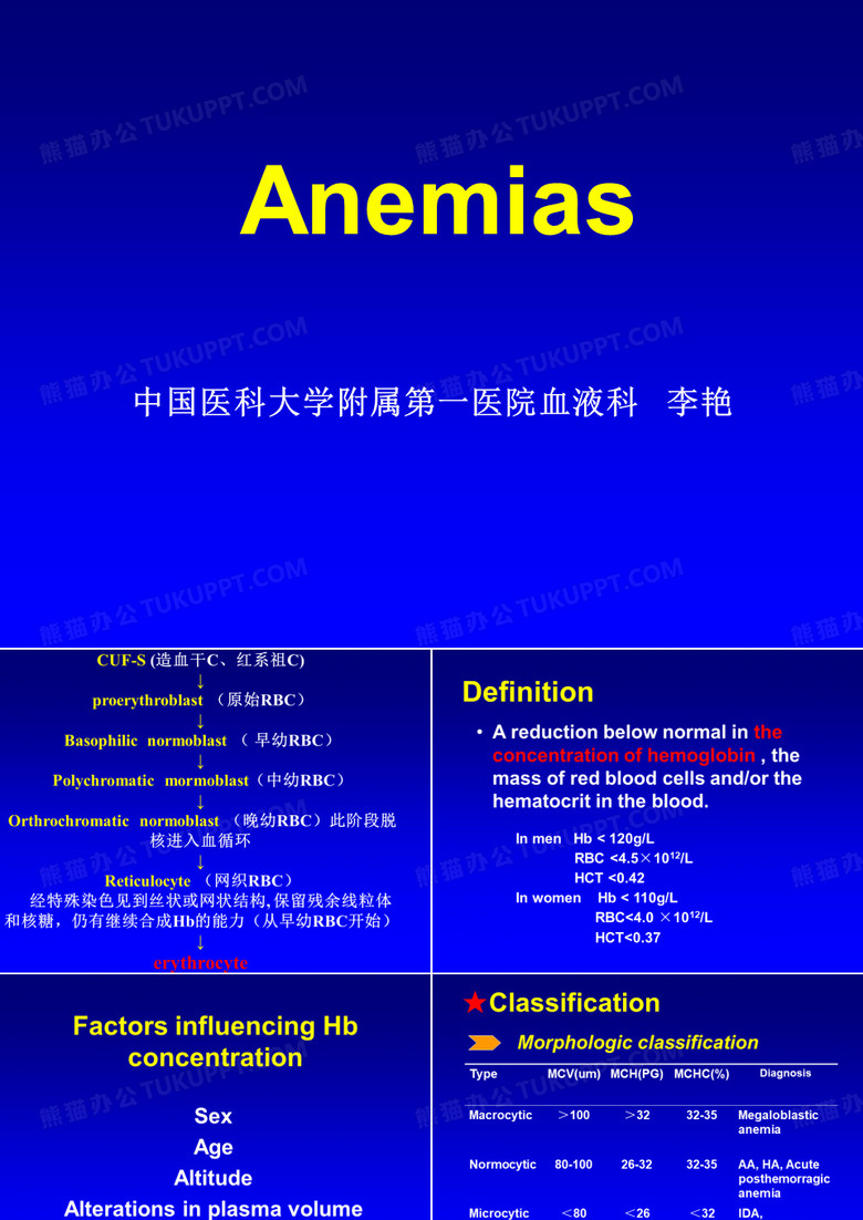教学课件 贫血