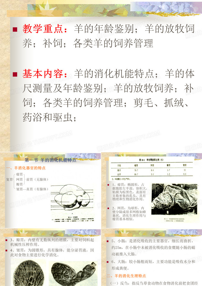 羊的饲养管理