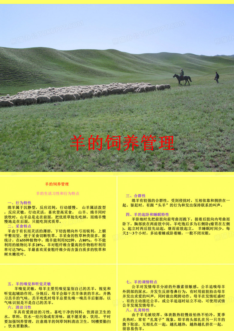 羊的饲养管理