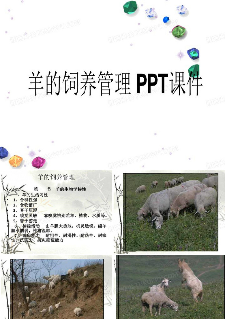 羊的饲养管理 PPT课件