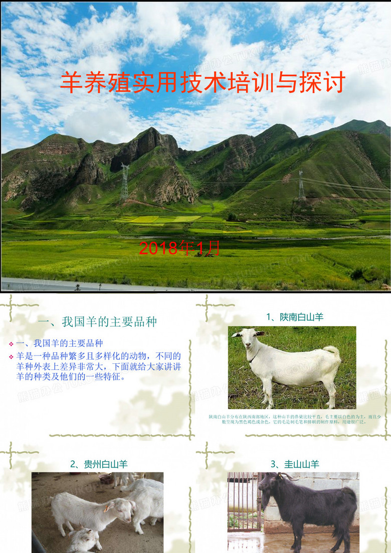 羊养殖技术培训PPT(羊种类、养殖技术饲料及圈舍建设培训)