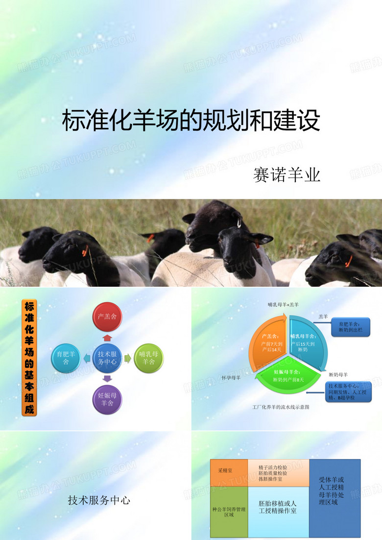 标准化羊场的规划与建设 PPT