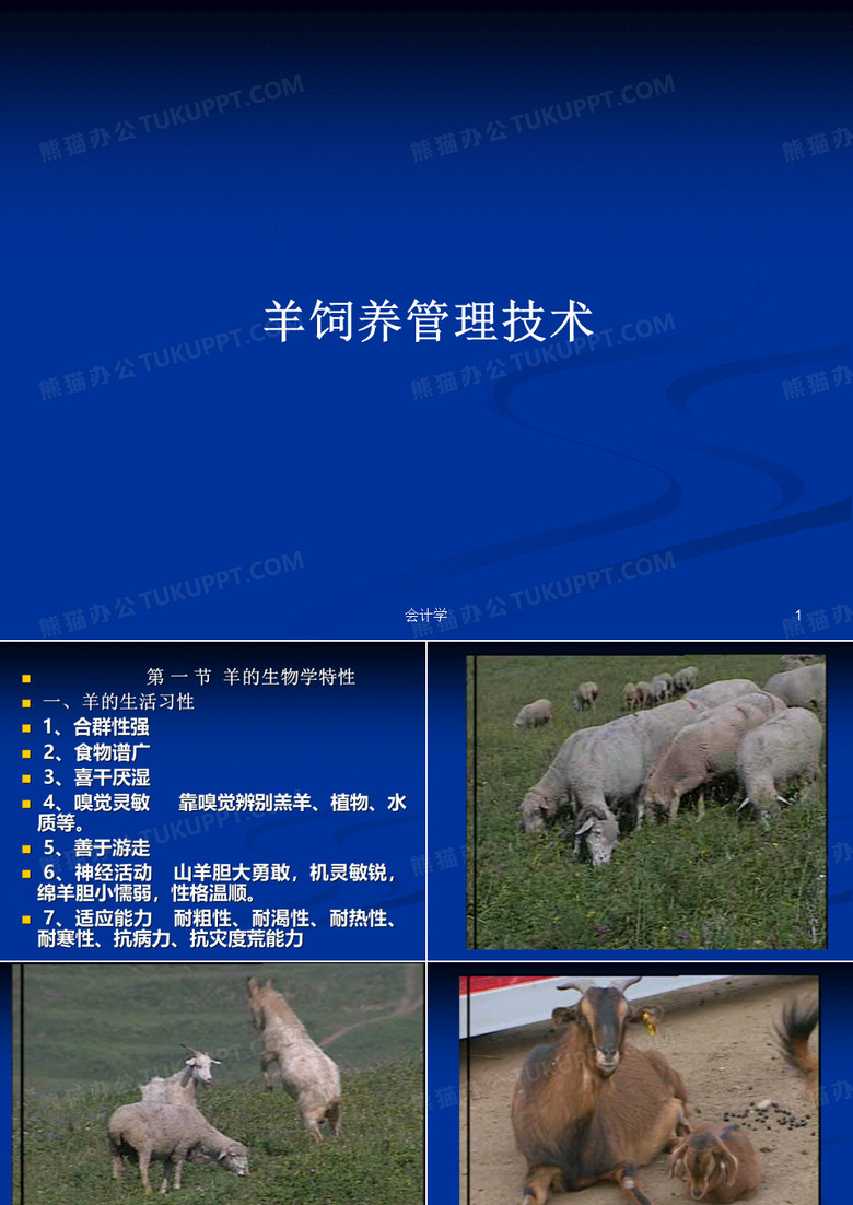 羊饲养管理技术PPT教案