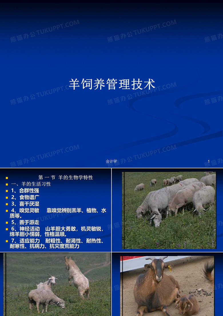 羊饲养管理技术PPT教案