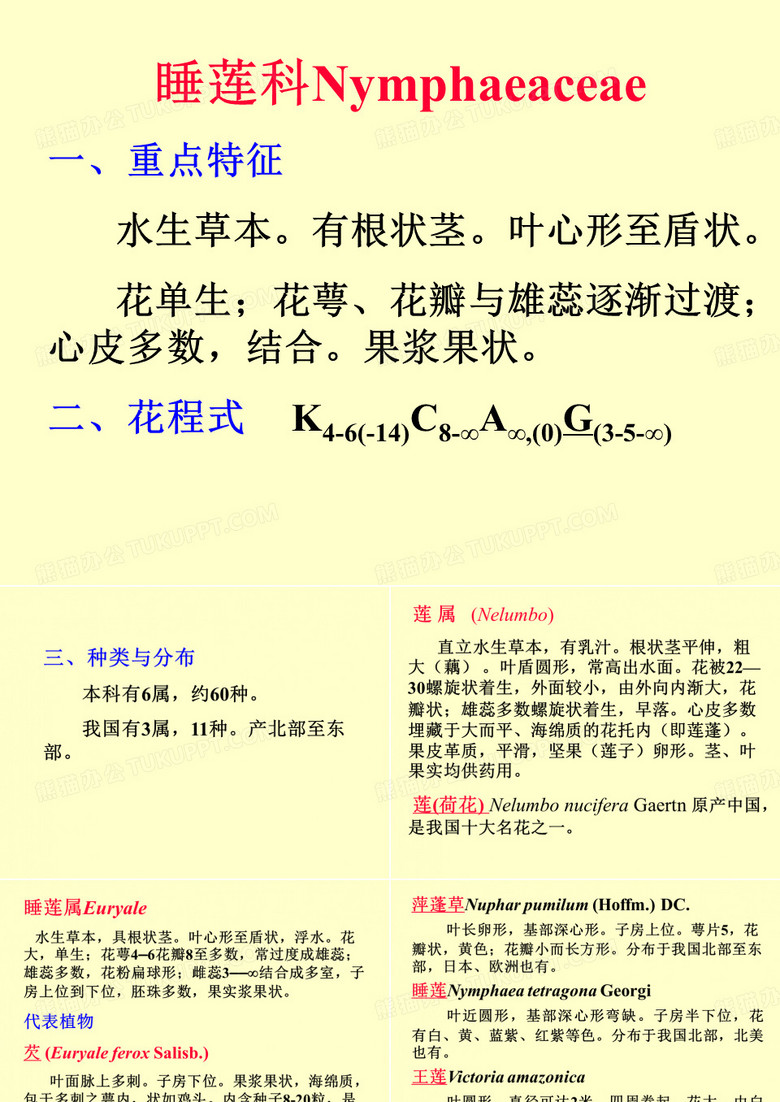 植物学睡莲科