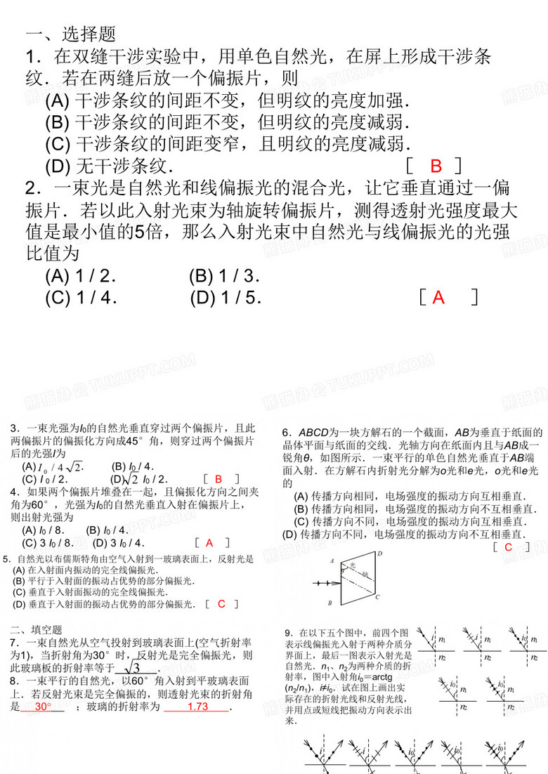 光的偏振