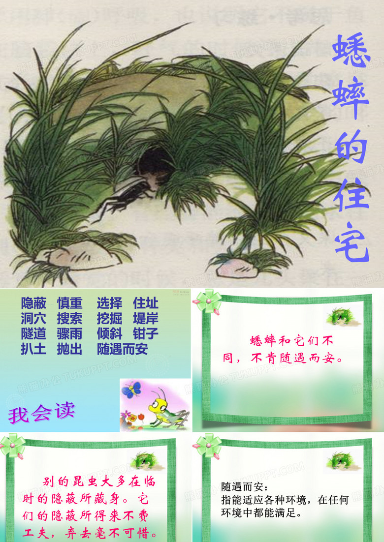 蟋蟀的住宅课件