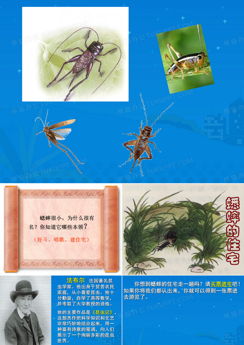 《蟋蟀的住宅》课件