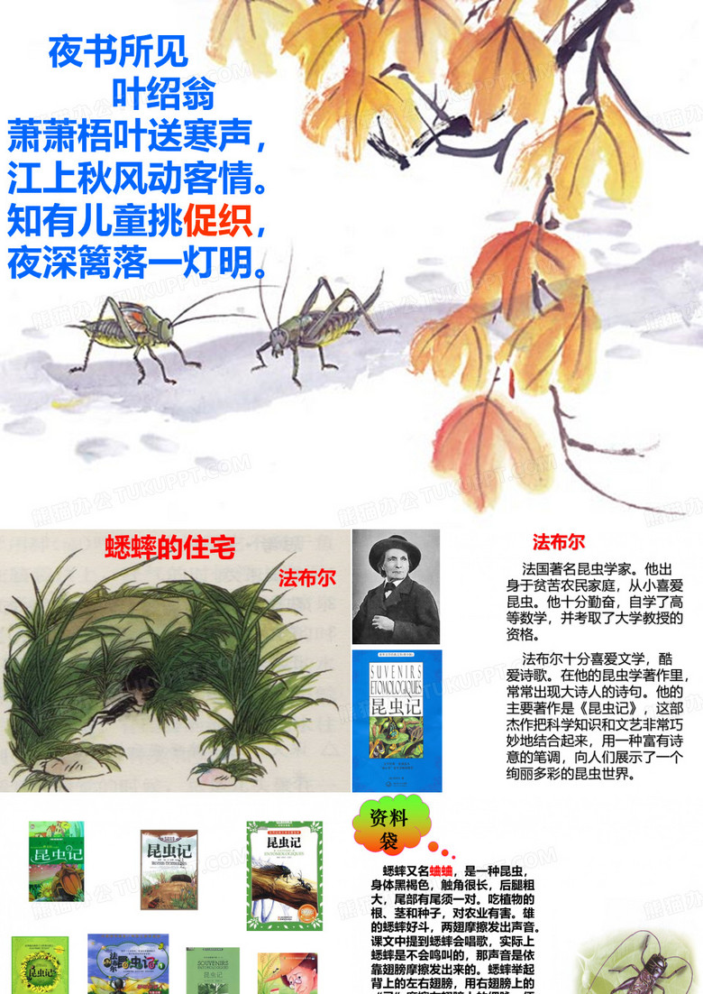 《蟋蟀的住宅》课件