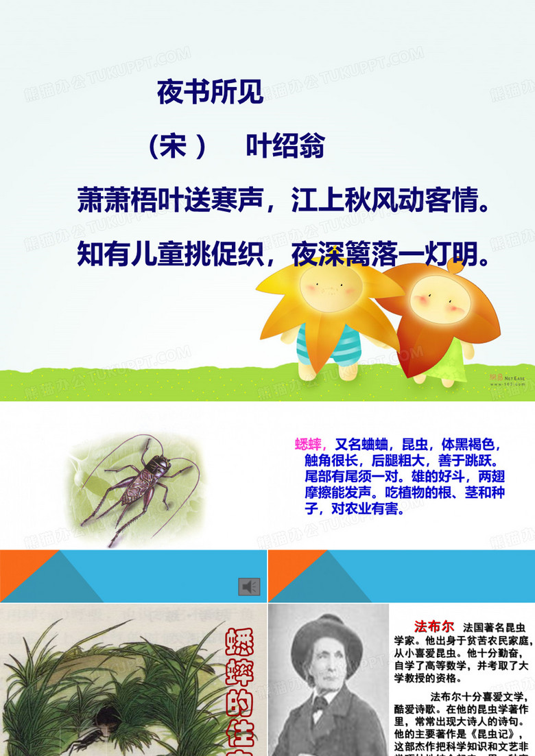 《蟋蟀的住宅》课件