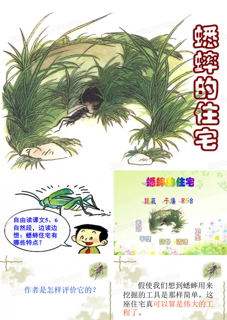 《蟋蟀的住宅》课件