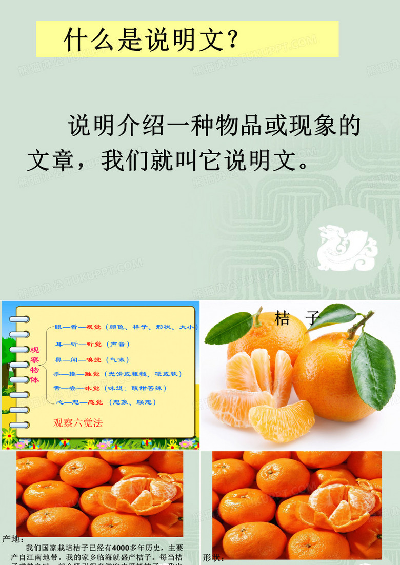 桔子