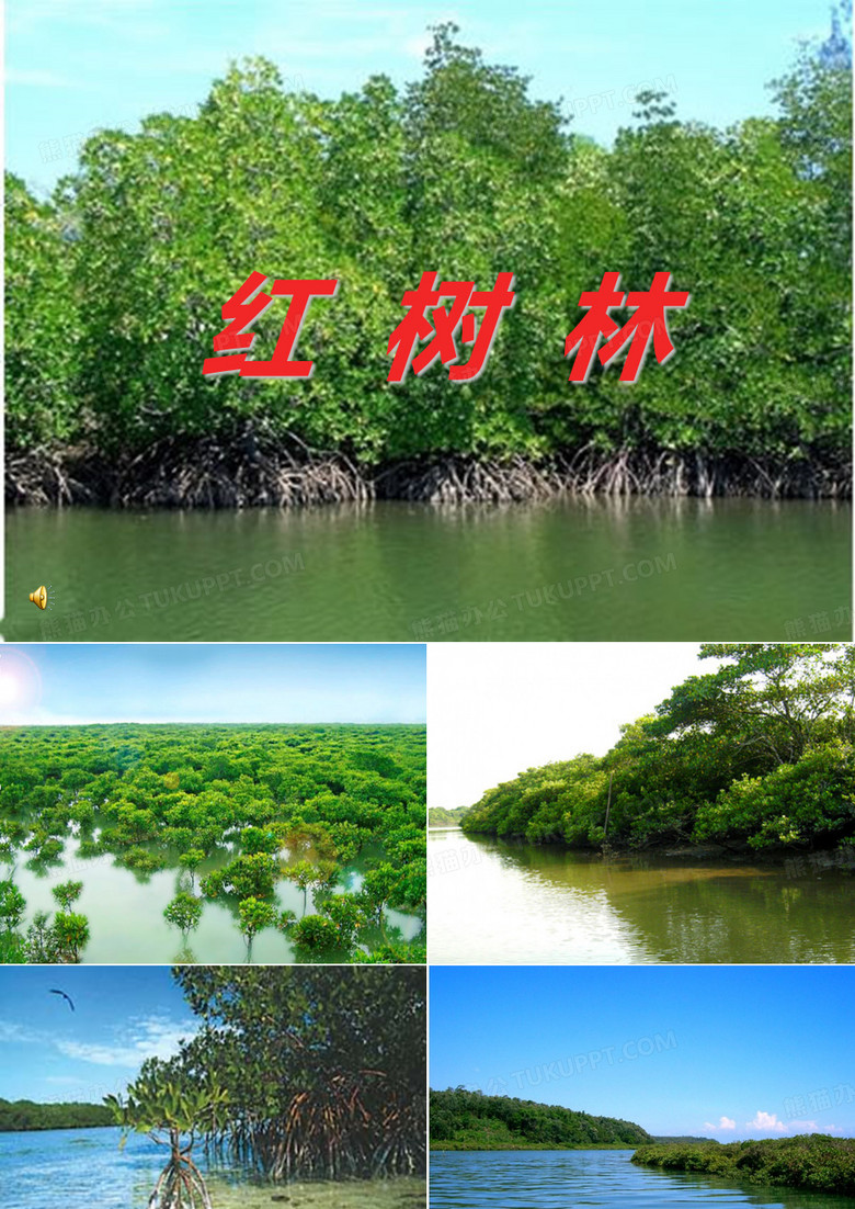 海上森林