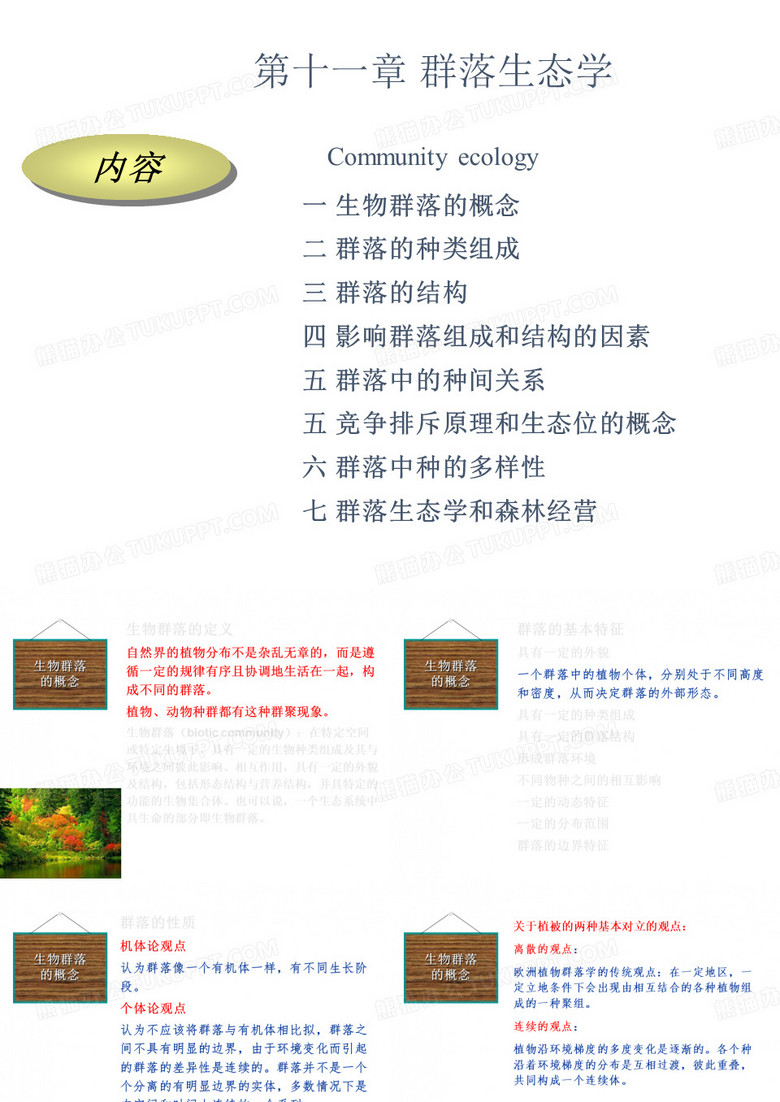 森林群落
