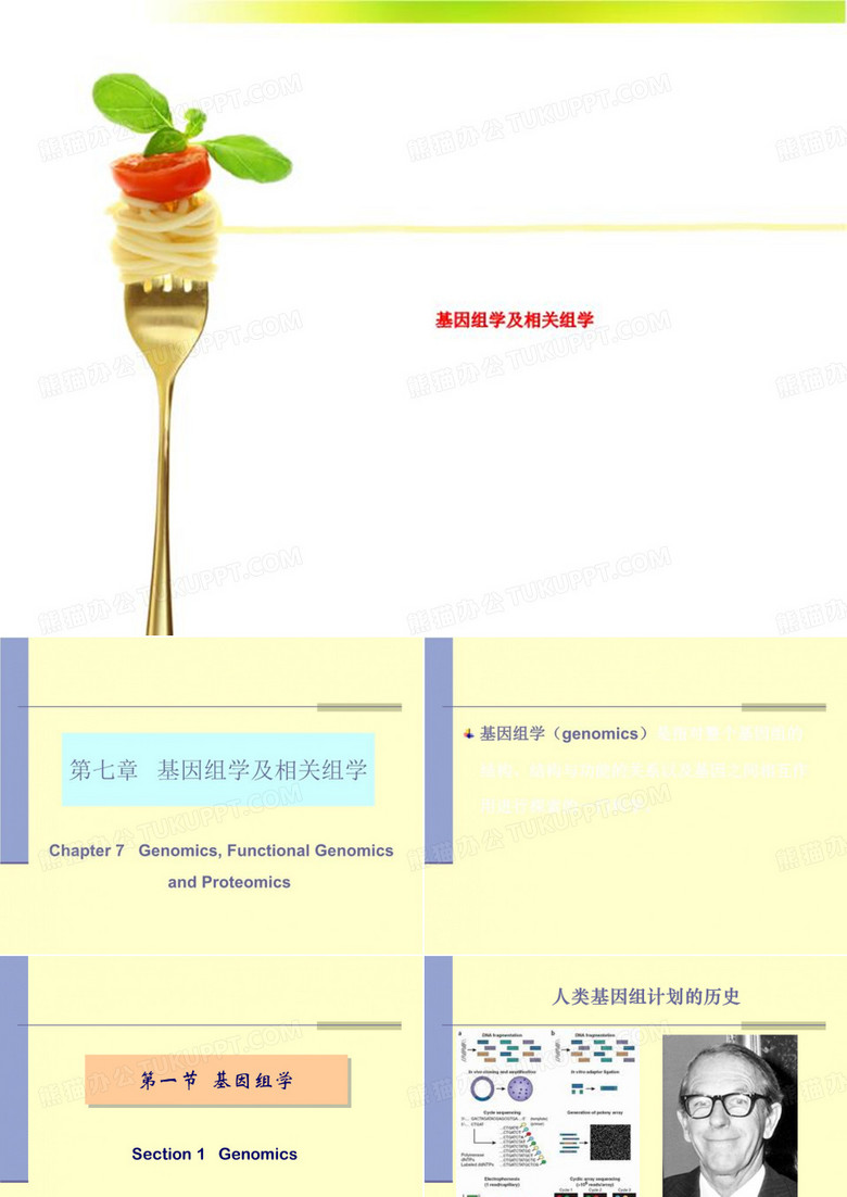 基因组学及相关组学