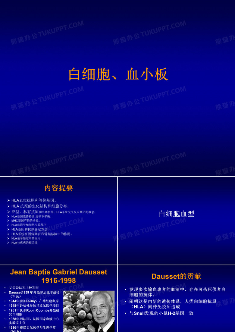 医疗系输血医学白细胞血小板