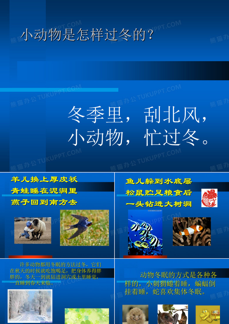 小动物是怎样过冬的？