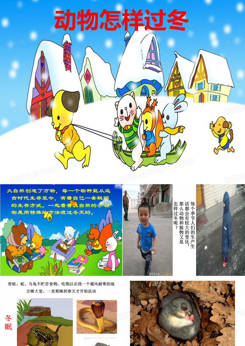 小动物过冬的方式