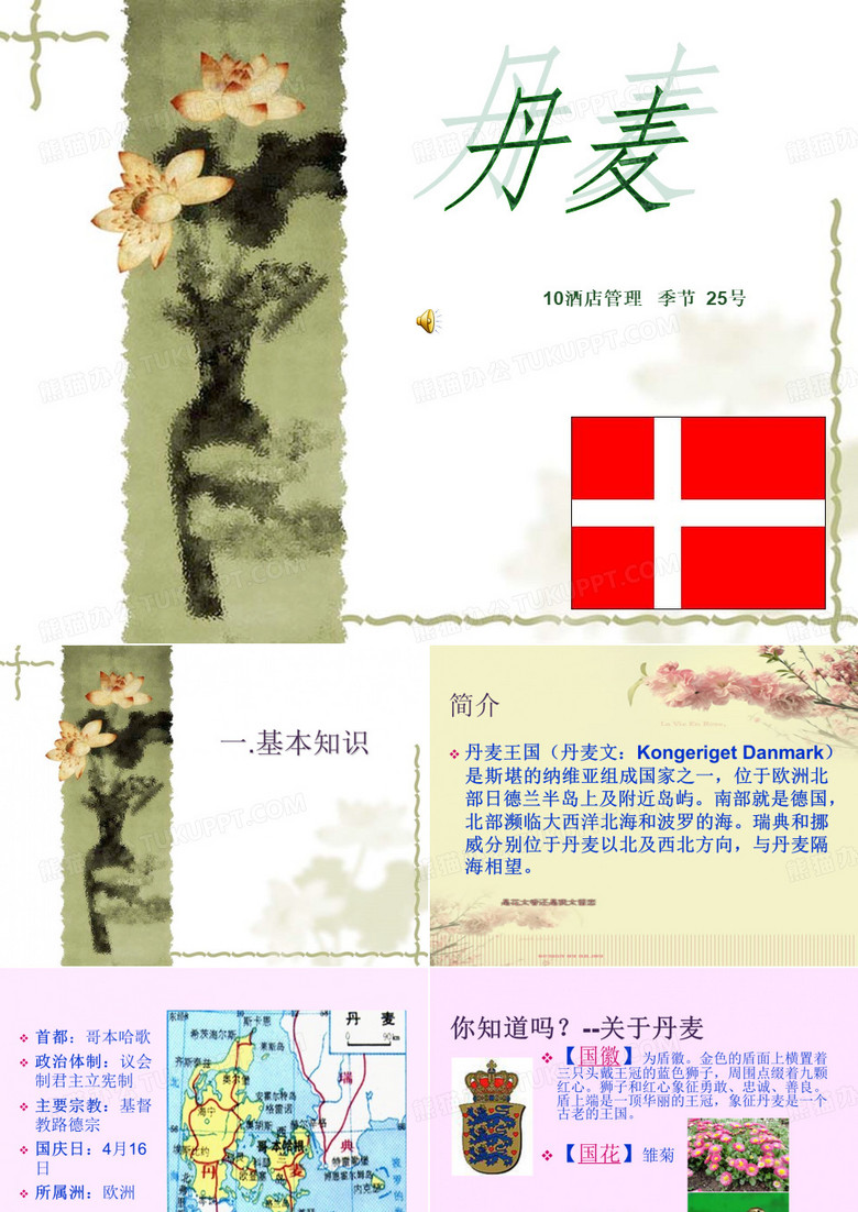 丹麦 -