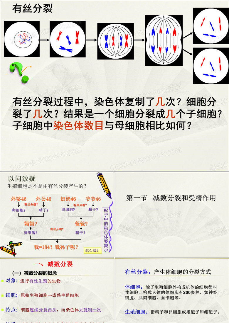 有丝分裂无丝分裂减数分裂有丝分裂有丝分裂过程中