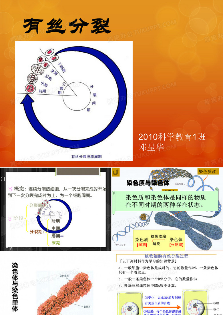有丝分裂与无丝分裂