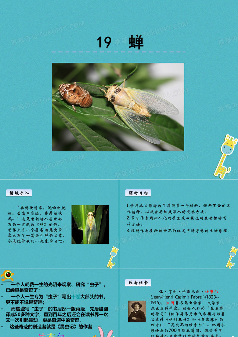 19.法布尔《蝉》ppt