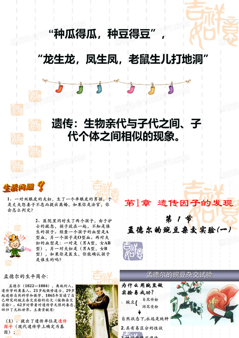 高中生物孟德尔豌豆豌豆杂交实验(一)