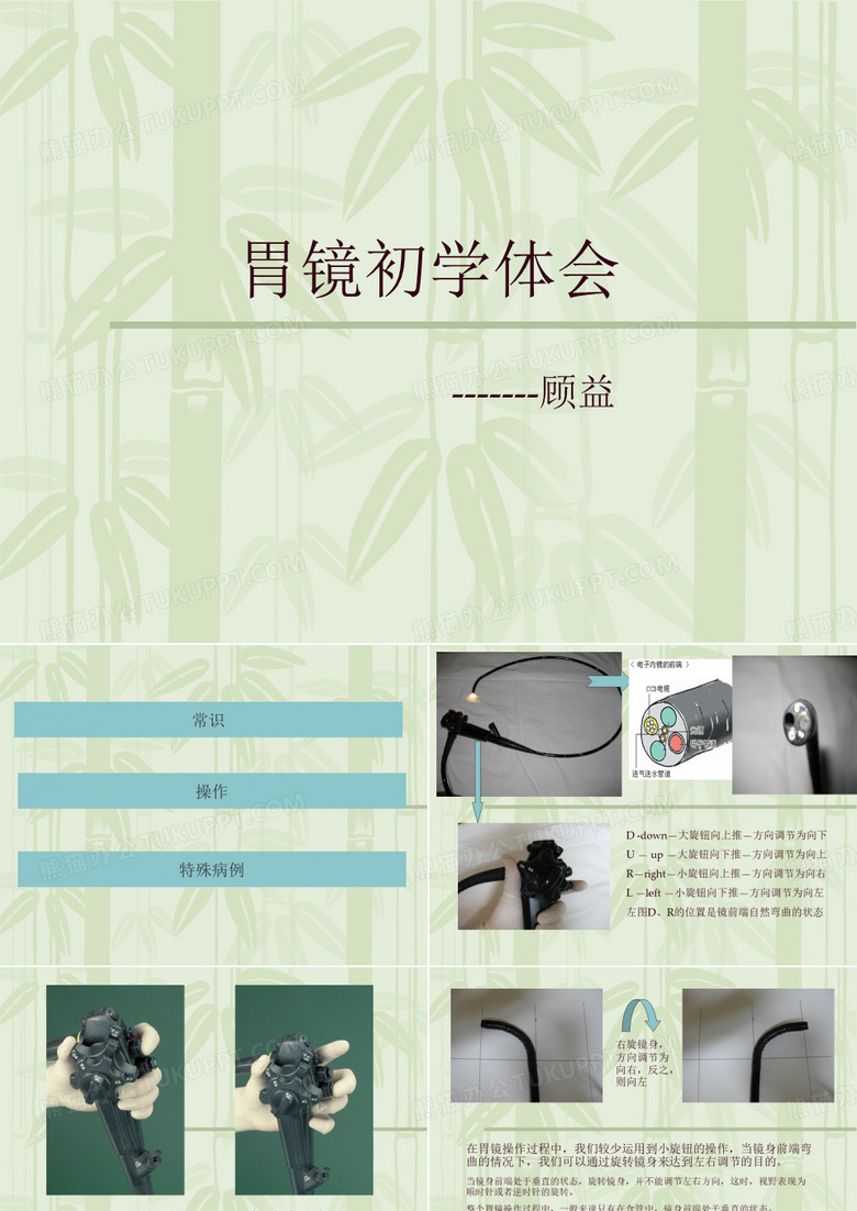 胃镜初学体会