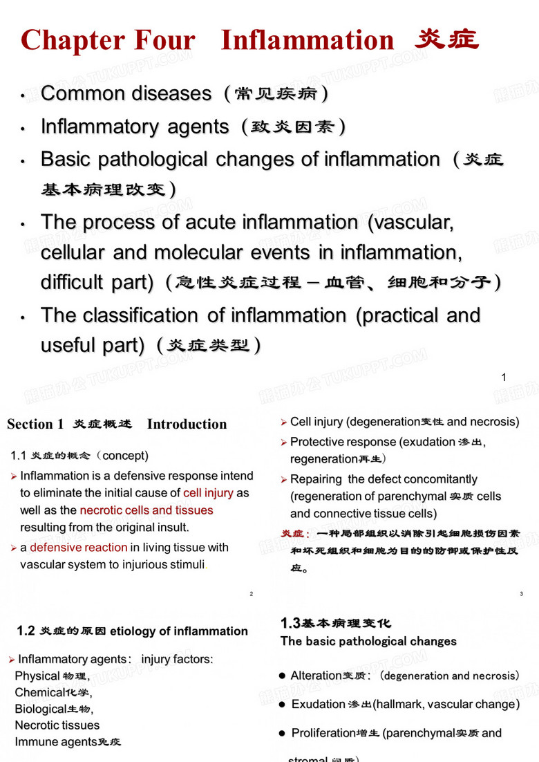 炎症 双语