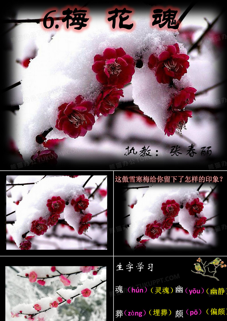 梅花魂 ppt