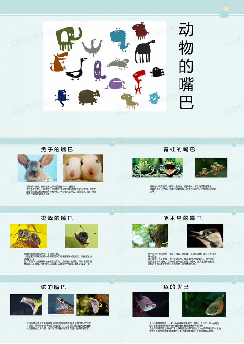动物的嘴巴-完整版PPT课件