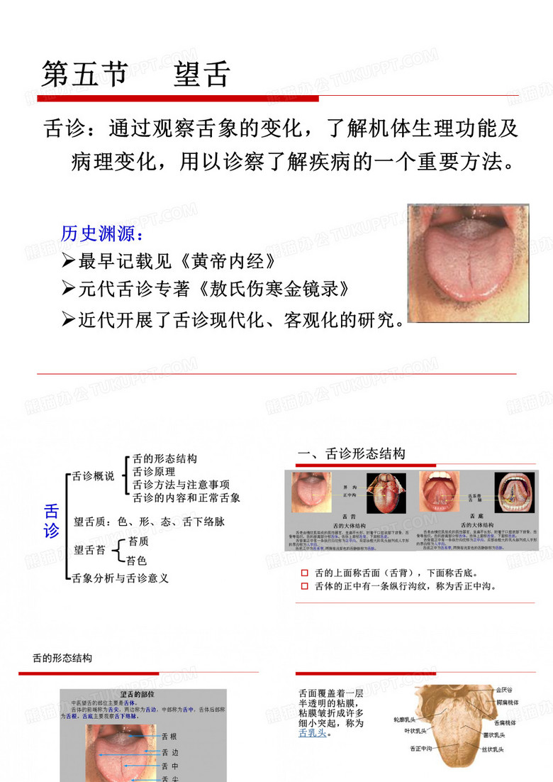 舌诊