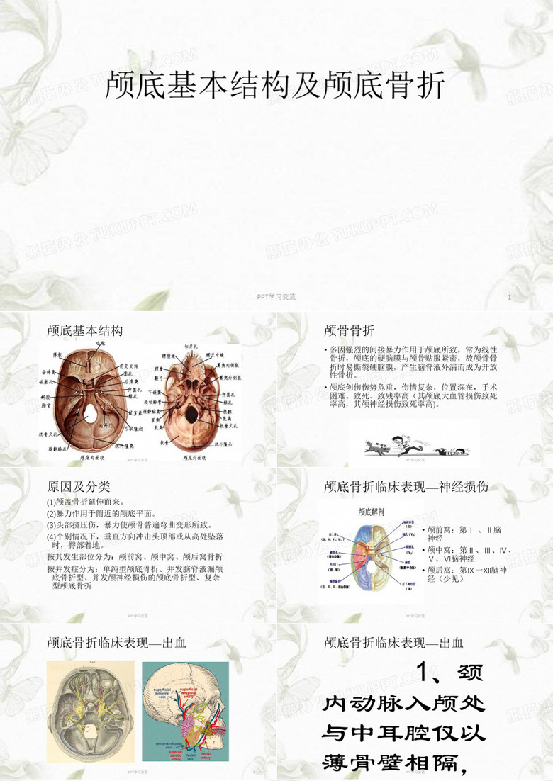 颅底基本结构及颅底骨折PPT课件