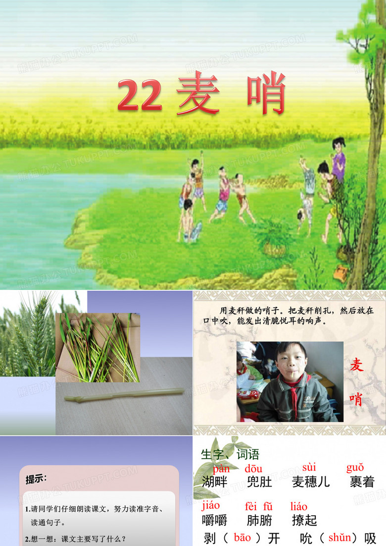 麦哨