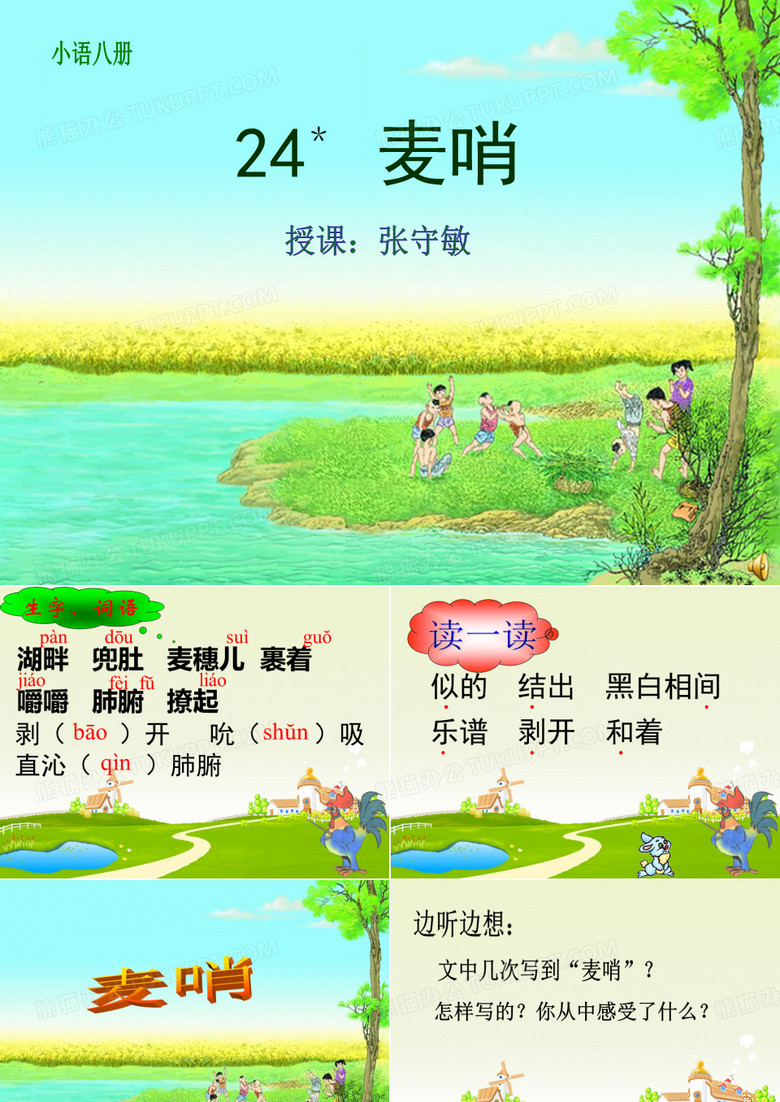 麦哨