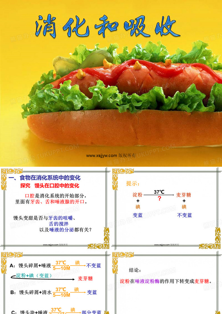 消化和吸收