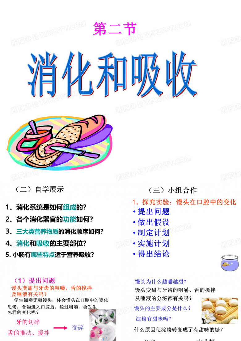 消化和吸收