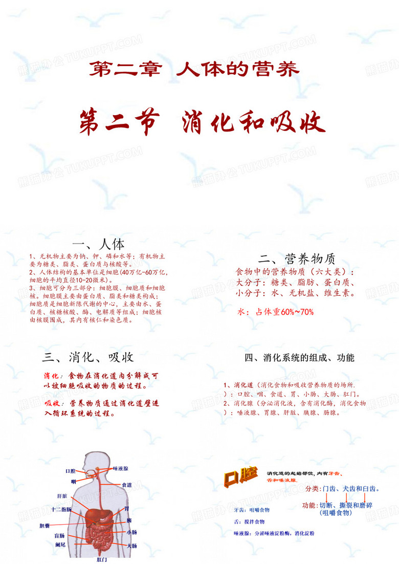 《消化和吸收》