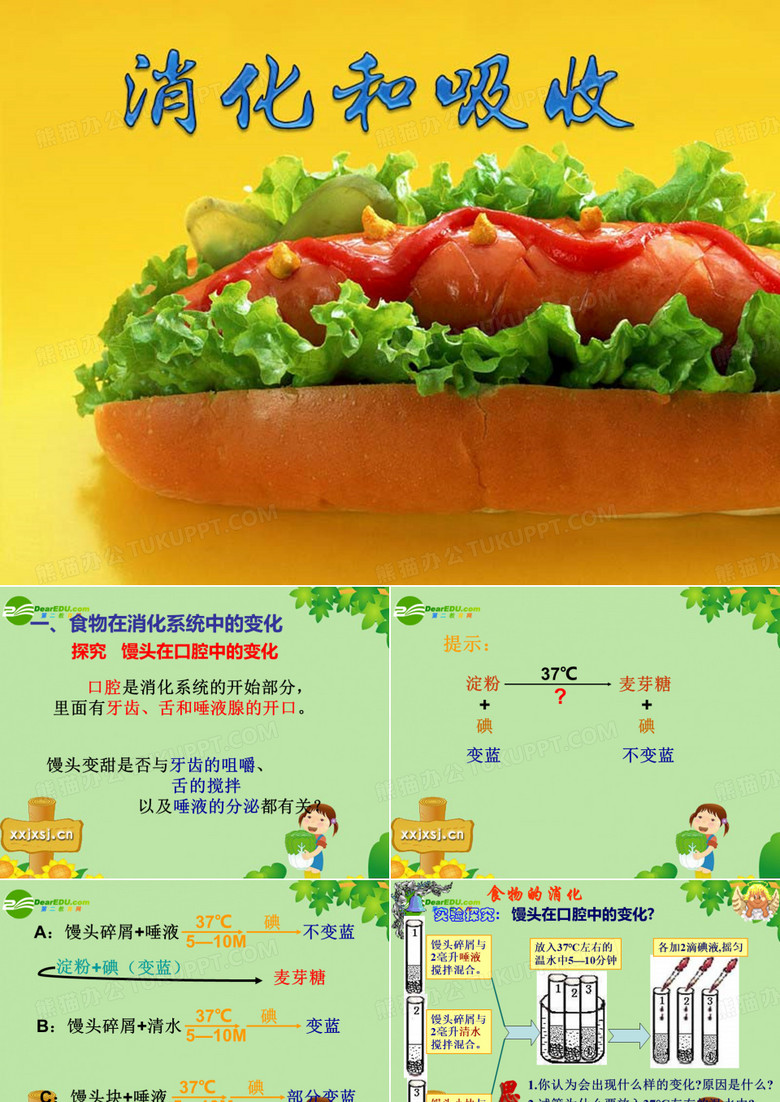 消化和吸收