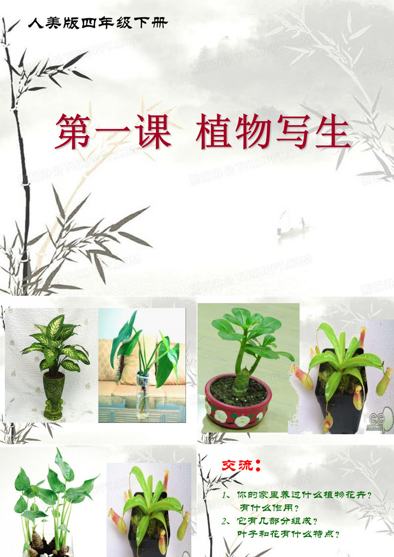 植物写生