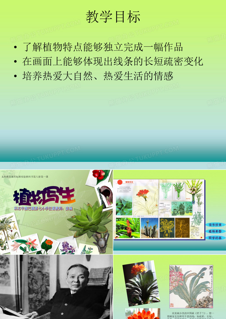 植物写生课件