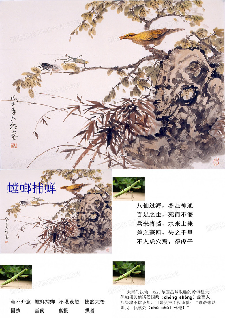 螳螂捕蝉