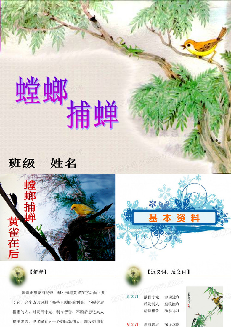 螳螂捕蝉