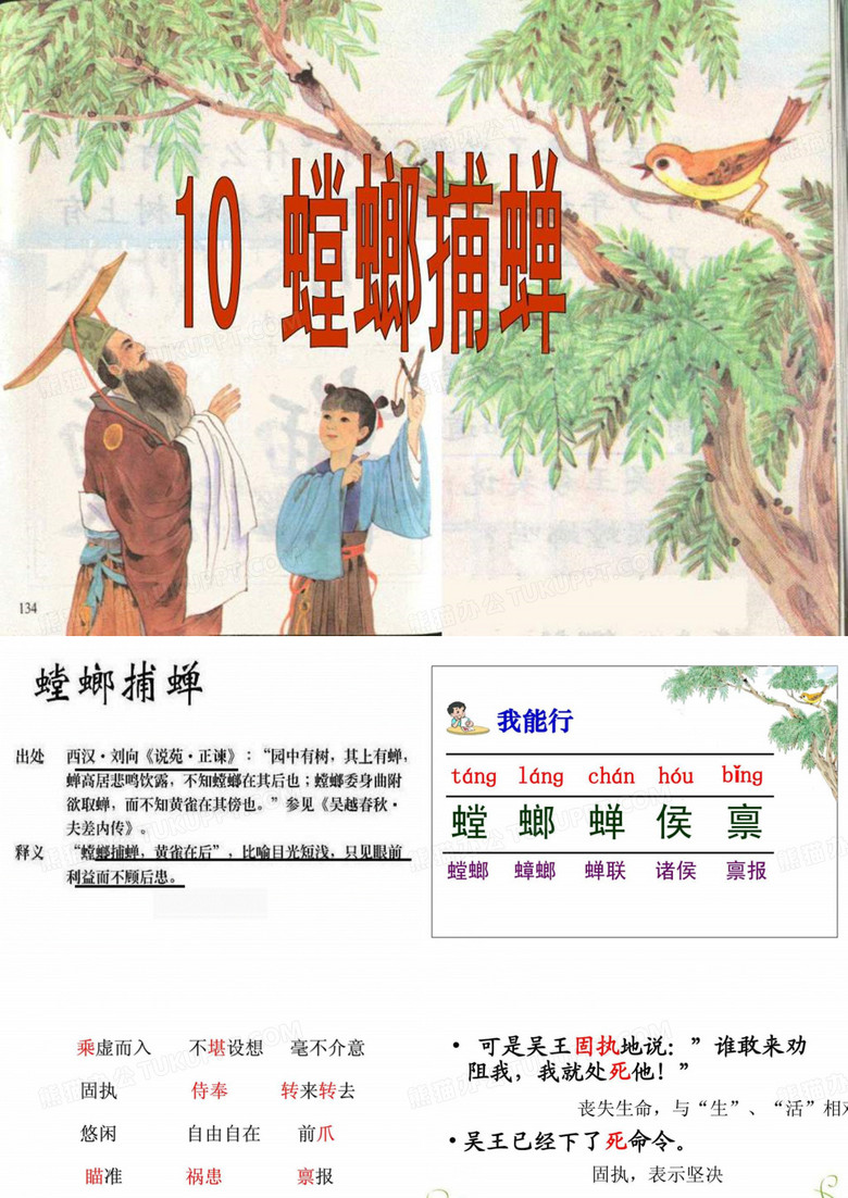 《螳螂捕蝉》课件