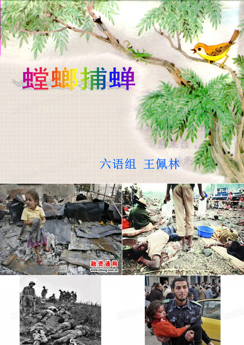 螳螂捕蝉课件
